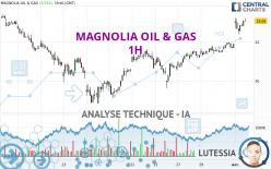 MAGNOLIA OIL & GAS - 1H