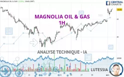 MAGNOLIA OIL &amp; GAS - 1H