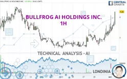 BULLFROG AI HOLDINGS INC. - 1H