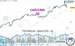 CAD/CNH - 1 Std.