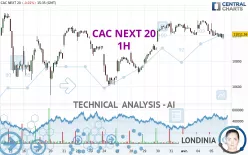 CAC NEXT 20 - 1H