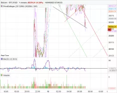 BITCOIN - BTC/USD - 1 min.