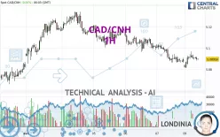 CAD/CNH - 1H