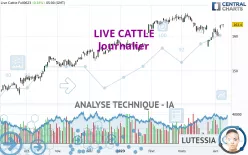 LIVE CATTLE - Journalier