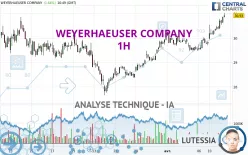 WEYERHAEUSER COMPANY - 1H