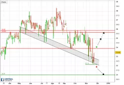 CCEP - Diario