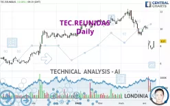 TEC.REUNIDAS - Daily