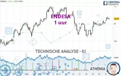 ENDESA - 1 uur