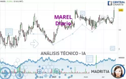 MAREL - Diario