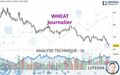 WHEAT - Journalier