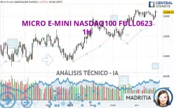 MICRO E-MINI NASDAQ100 FULL1224 - 1H