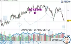 SOYBEAN - 1 Std.