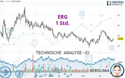 ERG - 1 Std.