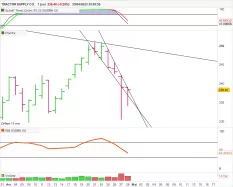 TRACTOR SUPPLY CO. - Journalier