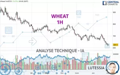 WHEAT - 1H