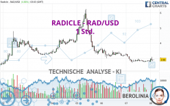 RADWORKS - RAD/USD - 1 Std.