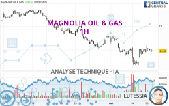 MAGNOLIA OIL & GAS - 1H