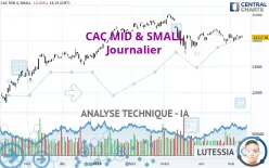 CAC MID &amp; SMALL - Daily