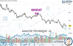 WHEAT - 1H