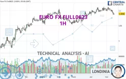 EURO FX FULL1224 - 1H