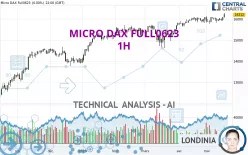 MICRO DAX FULL0325 - 1 uur