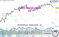 EURO FX FULL1224 - 1H