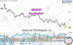 WHEAT - Journalier