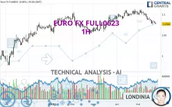 EURO FX FULL1224 - 1H