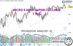 MICRO E-MINI S&amp;P500 FULL0325 - 1 Std.