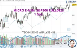 MICRO E-MINI S&amp;P500 FULL0325 - 1 Std.