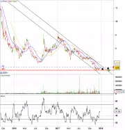 CELLNOVO - Daily