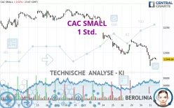 CAC SMALL - 1 Std.