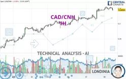 CAD/CNH - 1 Std.