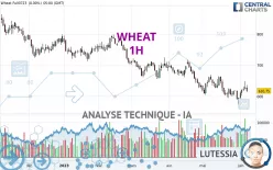 WHEAT - 1H