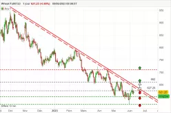 WHEAT - Journalier
