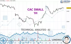 CAC SMALL - 1H