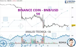 BINANCE COIN - BNB/USD - 1H