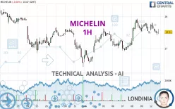 MICHELIN - 1H