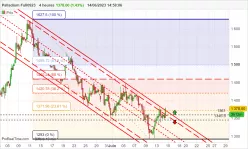 PALLADIUM - 4H