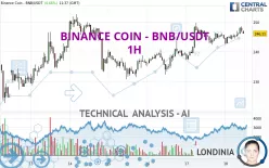 BINANCE COIN - BNB/USDT - 1H