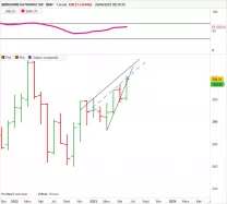 BERKSHIRE HATHAWAY INC. NEW - Mensuel