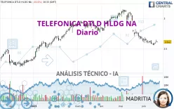 TELEFONICA DTLD HLDG NA - Diario