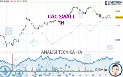 CAC SMALL - 1H