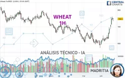 WHEAT - 1H