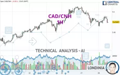 CAD/CNH - 1 Std.