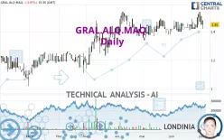 GRAL.ALQ.MAQ. - Daily