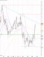 IPSEN - Daily