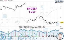 ENDESA - 1 uur