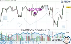 CAD/CNH - 1 Std.