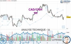 CAD/CNH - 1 Std.